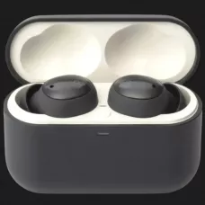 Навушники Final Audio ZE500 for ASMR (Dark Gray)