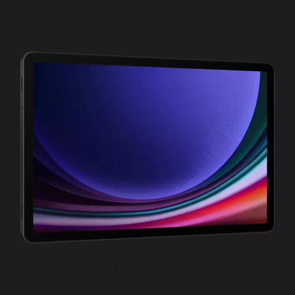 Планшет Samsung Galaxy Tab S9 12/256GB Wi-Fi (Graphite) (Standard)