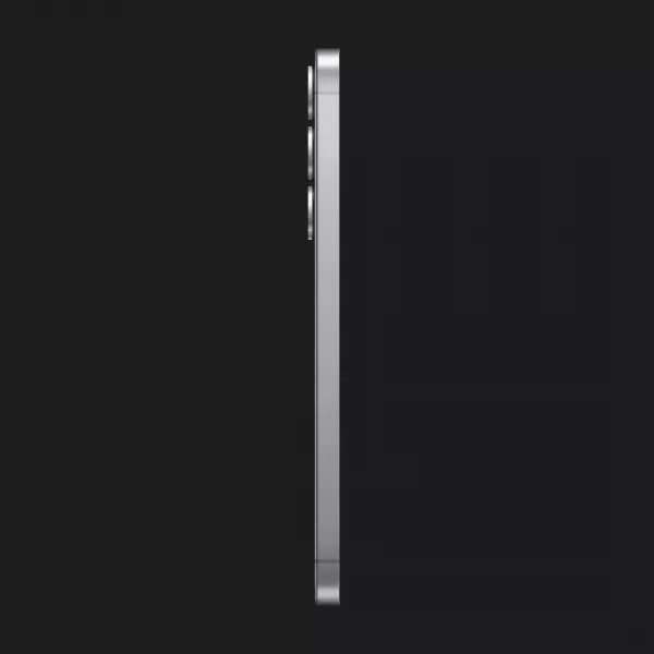 Samsung Galaxy S25 12/512GB (Silver Shadow) (S931) (Standard)