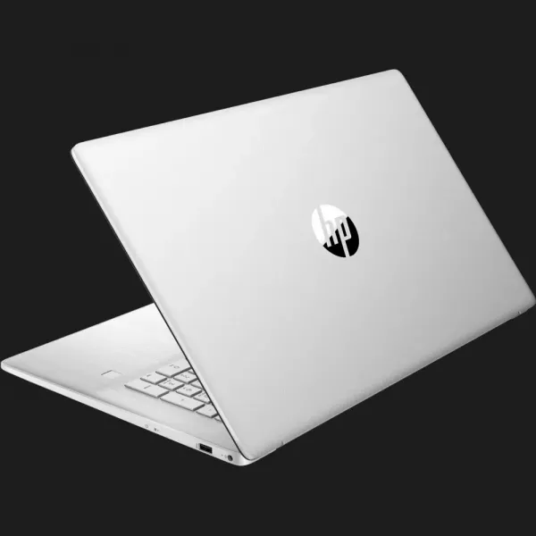 Ноутбук HP 17-cp0000 17,3" (AMD Ryzen 3/64GB/4TB (SSD)/AMD Radeon Graphics) (4Z2M27EA) (Standard)